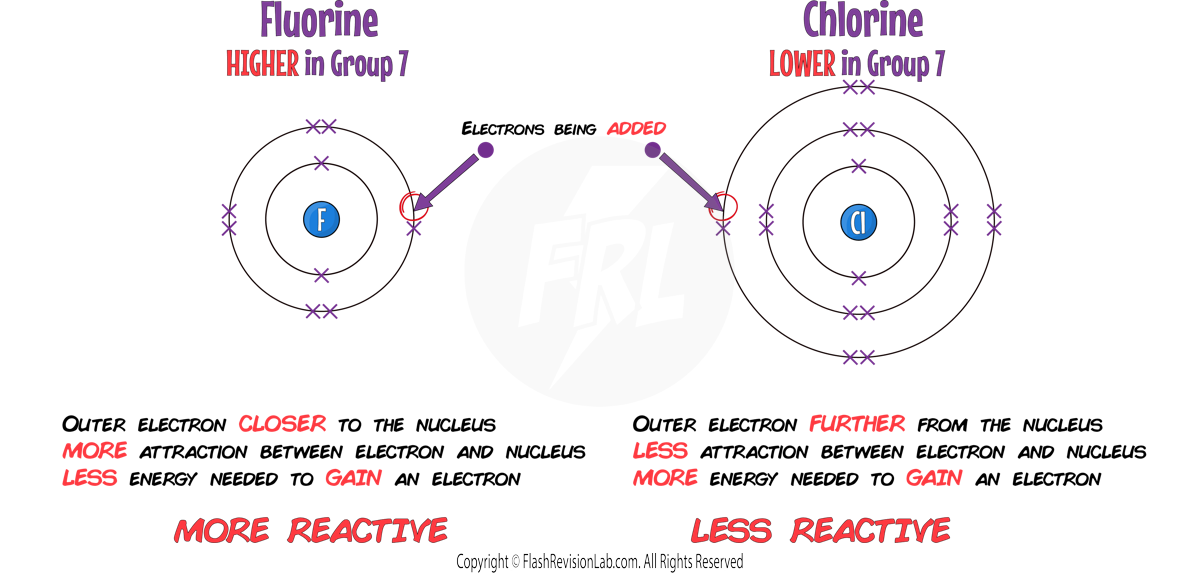 Fluorine and Chlorine